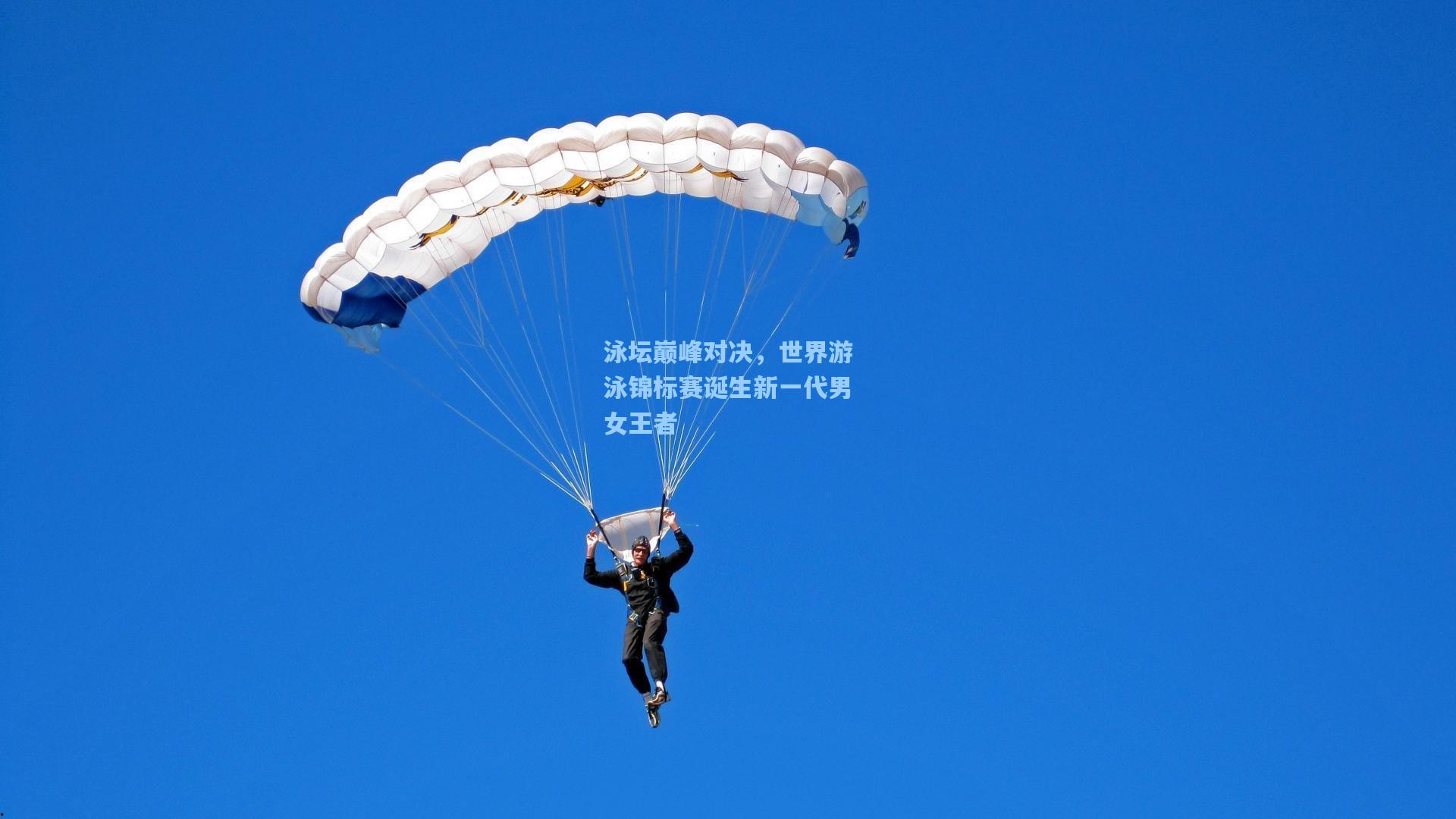 泳坛巅峰对决，世界游泳锦标赛诞生新一代男女王者