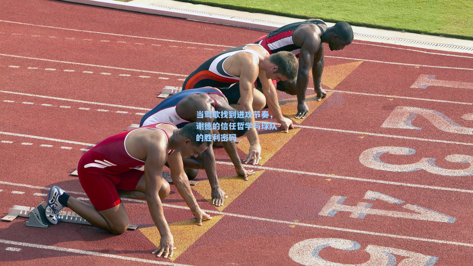 当莺歌找到进攻节奏，谢德的信任哲学与球队的胜利密码